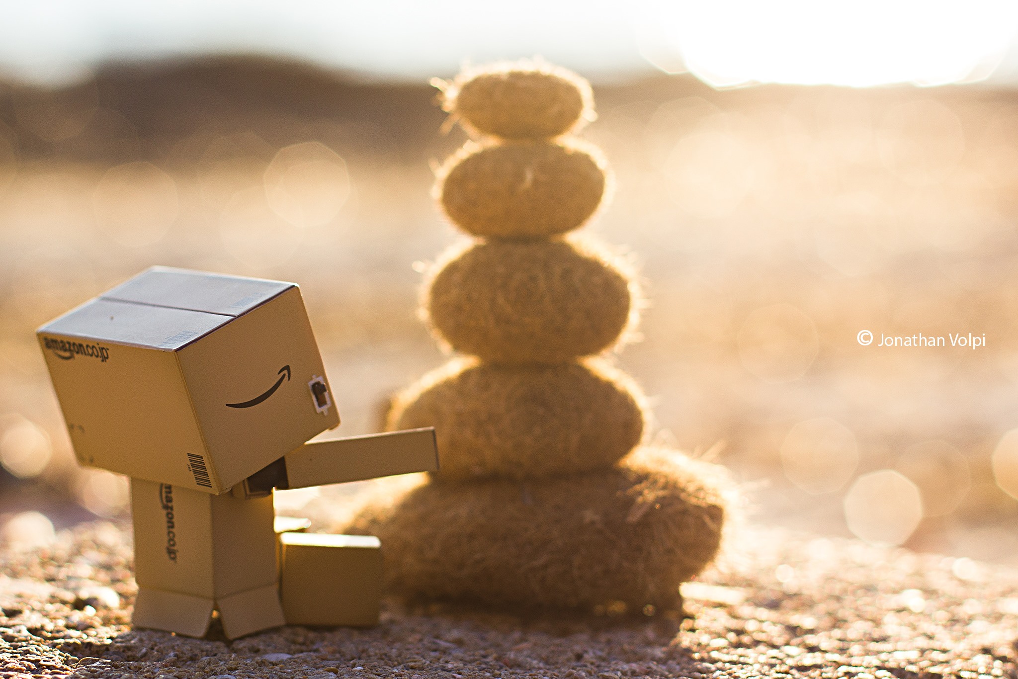 Danbo
