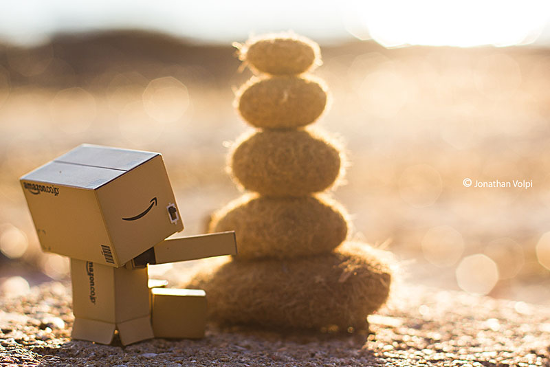 Danbo