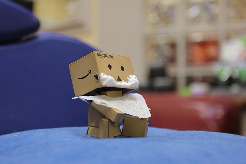 Danbo